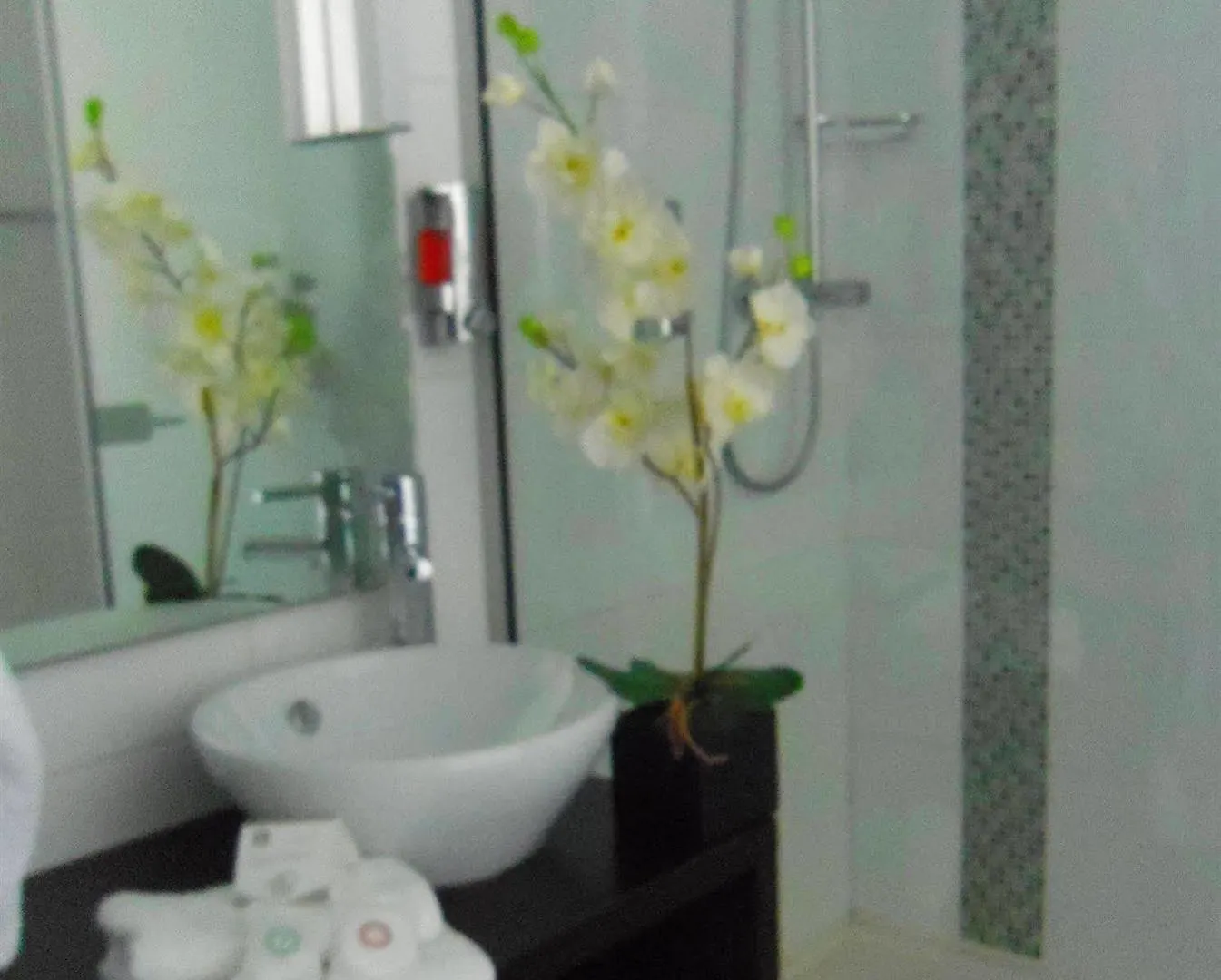 Best Western Plus Europe Hotel Brest